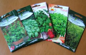 Świeże zioła ziola 3